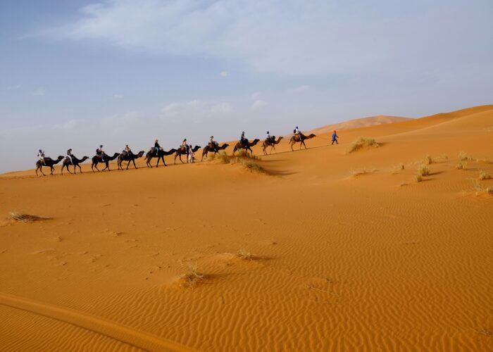 4 Días de Tour al Desierto del Sahara y Fez Desde Marrakech