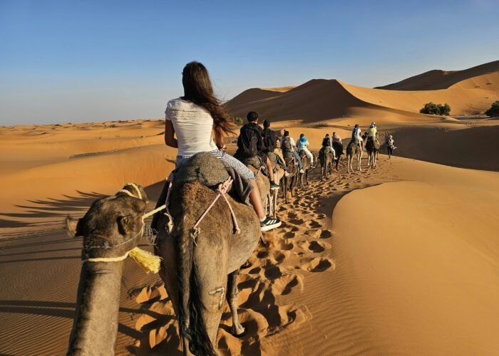 Alojamiento y excursión en camello